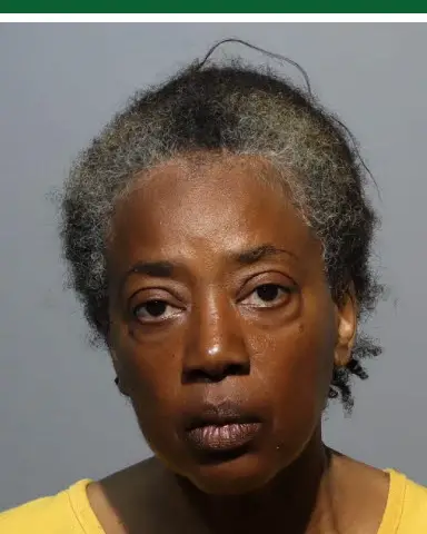 CAROL RATTIGAN booked 20241009